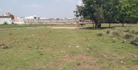 Có hàng mới ra lò, 5841m2 đất tại xã Phú Hữu