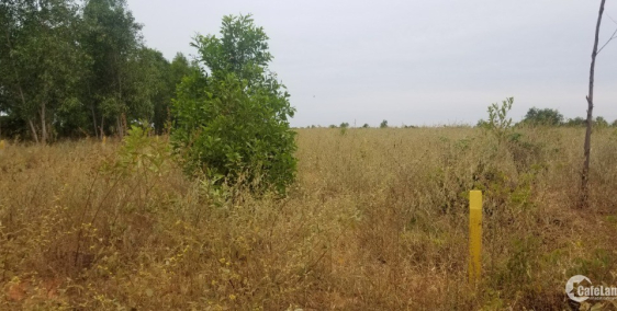 Chính chủ cần bán lô đất 1044m2 thuộc xã thiện nghiệp. Liên hệ xem thực tế