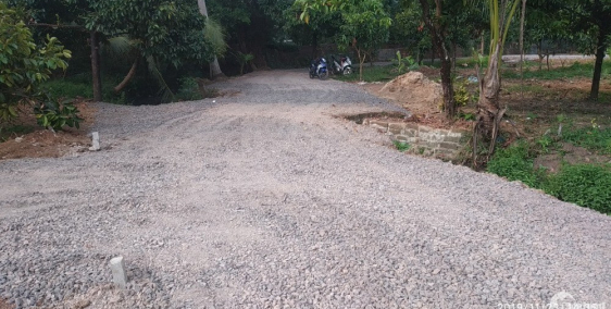 Gia đình tôi cần bán gấp 1000m2 đất trồng cây lâu năm huyện Thống Nhất.