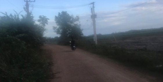 Cần bán gấp hơn 1 ha đất tại xã Xuân Thành