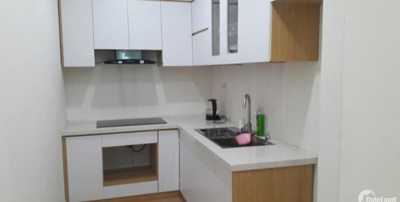 Cho thuê  căn hộ chung cư Ecohome Phúc Lợi Long Biên,