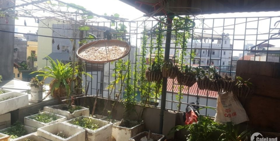 Cho thuê nhà nguyên căn khu vực Cầu Giấy