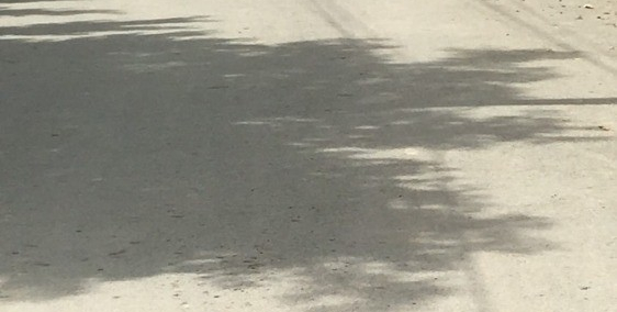 Căn Hộ Cầu Dừa,Lê Văn Khương,Quận 12,Gía 590Tr/45m2/Gía 100%