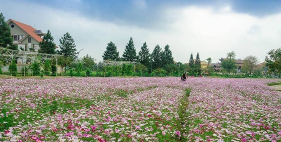 Bán BT The Phoenix 200m Tây Nam, Mặt tiền 10m, gần Vinhome, giá bán 24.5tr/m2.