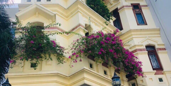 Bán Siêu Biệt Thự 113 Pasteur phường 6 quận 3, khoong gian thoáng mát 65 tỷ