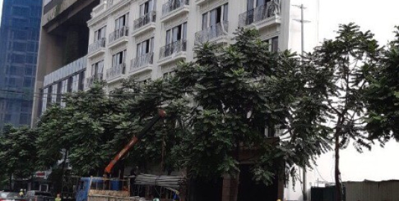 ra hàng 09 lô SHOPHOUSE trần bình dolphin plaza mặt phố trần bình