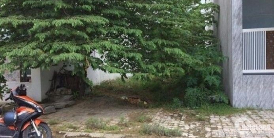 Đất chính chủ SHR 6x18 mt đường nhựa 12m giá 820tr công chứng ngay bao gpxd