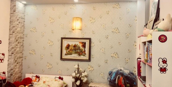 Bán biệt thự mini siêu đẹp diện tích lớn, sân để xe, hồ cá, gỗ tam xe.