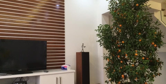 Bán nhà 157 Pháo Đài Láng – 15m ra đường ô tô – Thoáng trước sau – Full nội thất