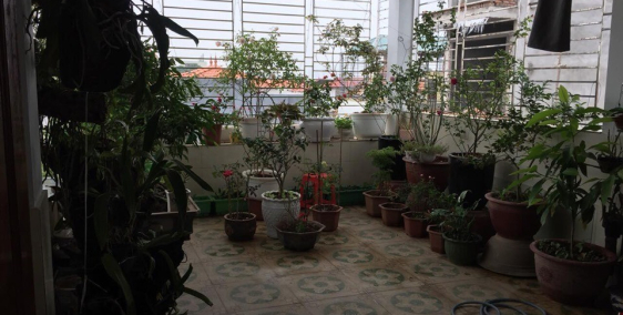 BÁN NHÀ ĐẤT Ngõ 295 NGỌC THỤY, LONG BIÊN, HÀ NỘI CHÍNH CHỦ