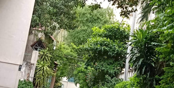 Hàng cực Hiếm khu cán bộ Hoàng Văn Thụ Duy Nhất 1 căn bán dt 50m2, 4 lầu.