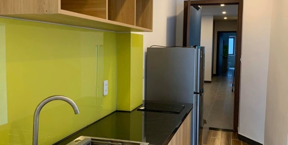 Cho thuê gấp căn hộ 1pn ,full nội thất cao cấp tại đường 2/9