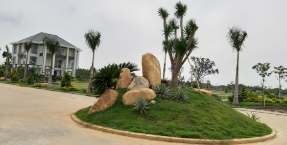 100tr Đầu Tư Có Thể Không? Đầu Tư Long An Giáp TP.HCM, Tỷ Suất Sinh Lời Cao