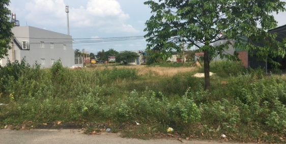 Vợ chồng tôi tuổi đã cao lên TPHCM sống với con trai nên bán 750m2 đất nền