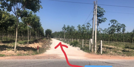 Đất Dầu Tiếng Bình Dương thị trấn Minh Hòa, 450tr/nền DT 20X50, Sổ Hồng Riêng.