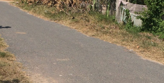 Chạy tiền chữa bệnh Đất nhựa 18m, gần Quốc Lộ 22