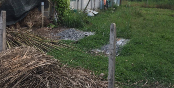 Ông chú gửi nhờ bán dùm lô đất thổ cư ở Cây Xoài,Thanh Phước,Gò Dầu,Tây Ninh.