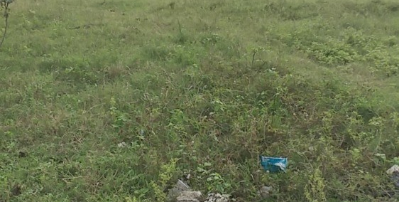 Đất Chính chủ cần bán Gấp với giá ưu đãi