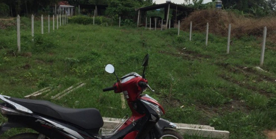 Đất xã Trung An, 10x36m2 (300 thổ cư), sổ hồng chính chủ, 2 tỷ