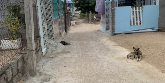 Bán nhanh lô thổ cư Tri Hải chỉ 820tr