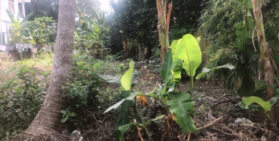 Cần bán lô đất đẹp La ỷ - Phú Thượng, Giá chỉ 890 triệu