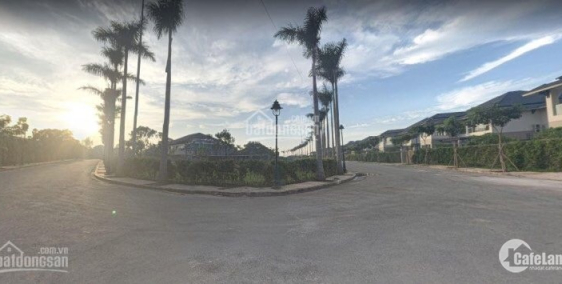 Sang gấp 100m2 MT Lê Cơ,P An Lạc,Bình Tân chỉ 2,5 tỷ,sổ hồng,thổ cư