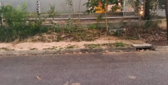 Bán gấp lô đất MT Nguyễn Văn Công P3 GV, gần CV Gia Định. Giá chỉ 25tr/m2 DT 100