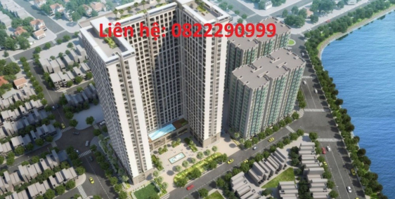 BÁN ĐẤT KHU QUY HOẠCH HÀ THIỆP, VÕ NINH, QUẢNG NINH, QUẢNG BÌNH.