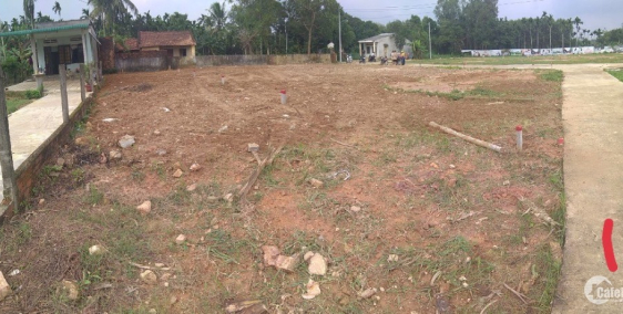 Chỉ 150tr đã có traong tay sổ đỏ lô dất