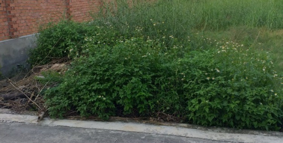 cần bán đất ở đường Hưng Định 25, Bình Dương