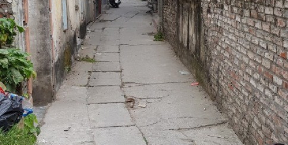 Gấp! nhượng lại trước tết mảnh đất 65m2  mặt ngõ đường cổ nhuế