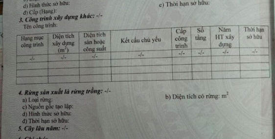 Cần tiền bán gấp  lô đất đảo Gò Găng - Long Sơn - TP Vũng Tàu