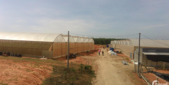 Chỉ 50000/m2 có ngay lô đất nền giàu tiềm năng bậc nhất Bình Thuận