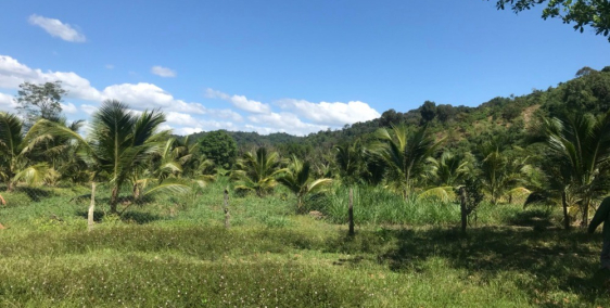 Chính chủ bán gấp lô đất thuộc Thôn Vĩnh Ninh – Xã Phước Cát 2 – Huyện Cát Tiên