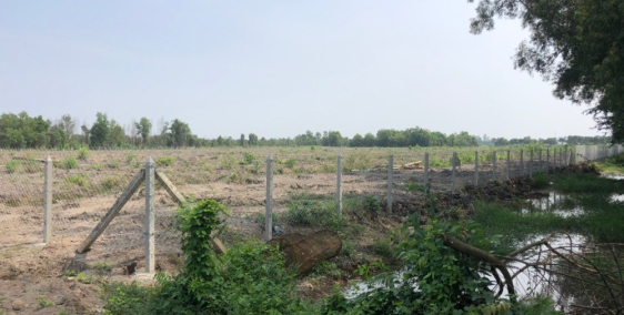 Bán 4 hecta đất vườn đường Tam Tân,Tân An Hội,Củ Chi.