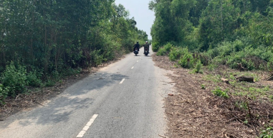 Đất vườn 6.000m2 view sông,hai mặt tiền đường Tam Tân,Củ Chi.