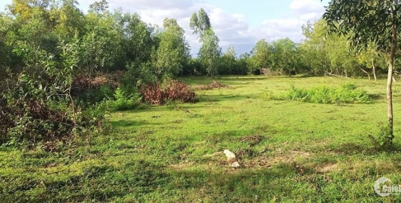 Bán 3461m2  đất trồng cây lâu năm tại thị xã Ninh Hòa Khánh Hòa