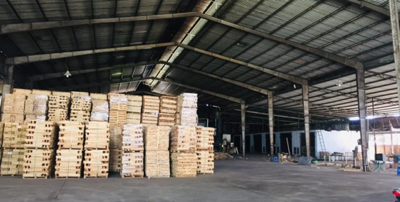 Bán nhanh xưởng Phú Lợi, Thủ Dầu Một, Bình Dương