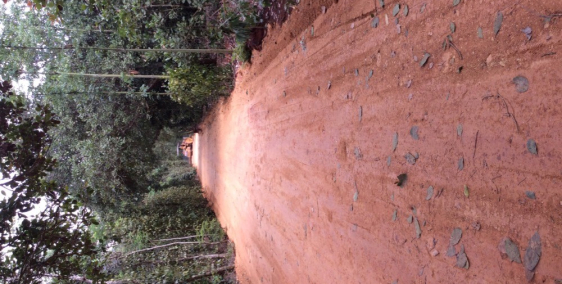 Đất đỏ Bazan chuyên trồng trọt chăn nuôi