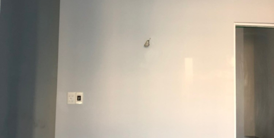 cho thuê nhà ở nguyên căn riêng biệt