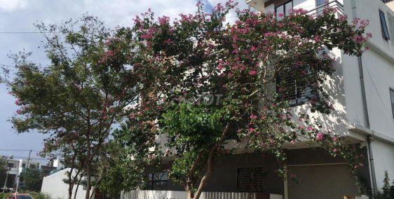 Chính chủ cho thuê nhà hai mặt tiền bán biệt thự