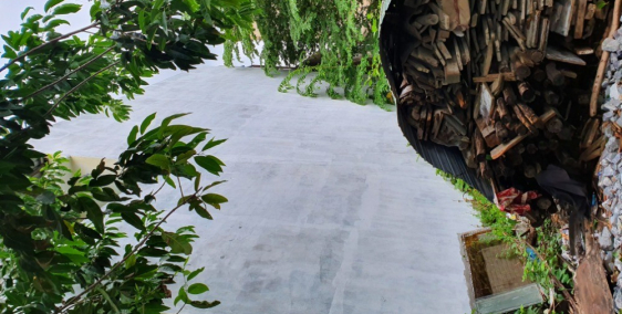 Cho thuê nhà nguyên căn đường Vũ Miên