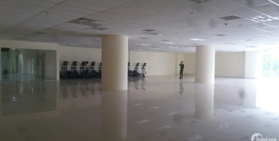 Văn phòng cho thuê quận 5, 300m2 giá ưu đãi 515 nghìn/m2/tháng