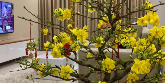 Bán căn hộ 2 PN tầng 11 Chung cư The GoldView Q4