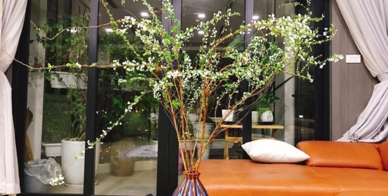 Bán nhà Nguyễn Khoái, 6 tầng, 51m2, ngang 4m, Giá 7.8 tỷ.