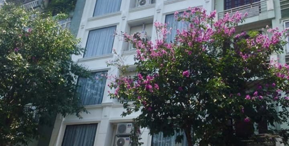 Thanh Khoản nhanh  BUILDING mặt phố Vọng – Nguyễn An Ninh, 70m, MT 5m, cho thuê