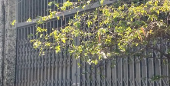 THÁCH THỨC NHÀ ĐẦU TƯ BẤT ĐỘNG SẢN BÁN NHÀ ÂU CƠ – HXH CHỈ KHOẢNG 80TR/M2