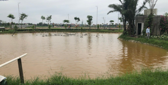 PHỐ NỐI HOUSE- ĐIỂM VÀNG TẠI PHỐ NỐI ️ Đã có quyết định ra sổ đỏ