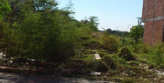 BÁN ĐẤT BẾN CÁT 100m2. GIÁ 535TR SỔ HỒNG CHÍNH CHỦ