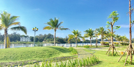 Chính chủ bán 350m2 đất 2MT biển An Bàng, Hội An phù hợp để ở và xây khách sạn